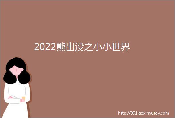 2022熊出没之小小世界