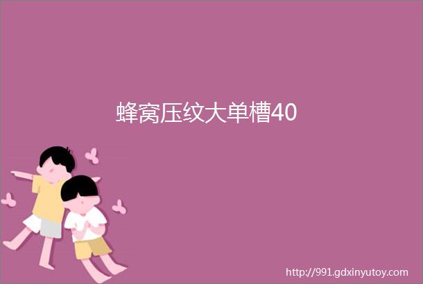 蜂窝压纹大单槽40