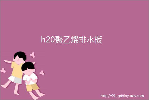 h20聚乙烯排水板