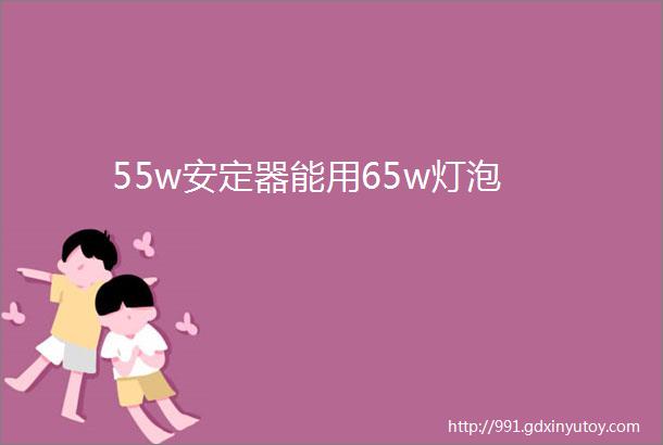 55w安定器能用65w灯泡