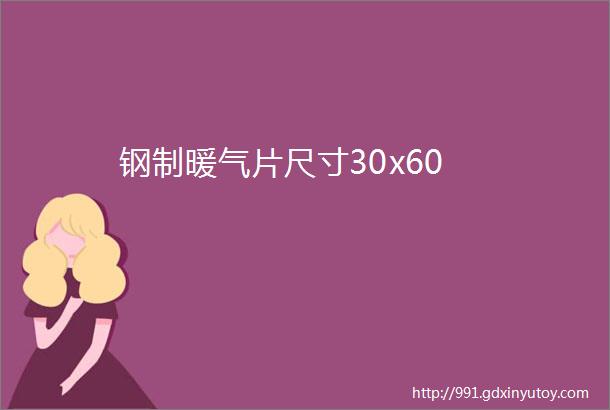 钢制暖气片尺寸30x60