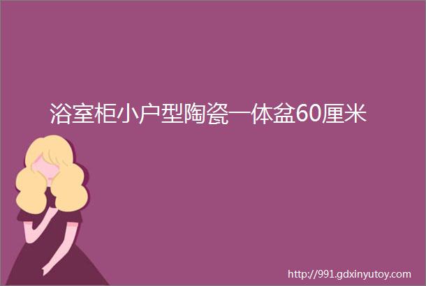 浴室柜小户型陶瓷一体盆60厘米