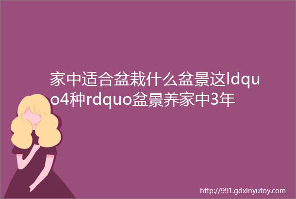 家中适合盆栽什么盆景这ldquo4种rdquo盆景养家中3年就成老桩树高端大气上档次越养越值钱