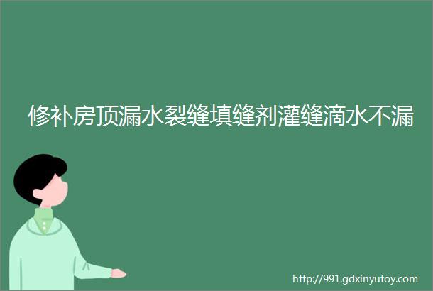 修补房顶漏水裂缝填缝剂灌缝滴水不漏