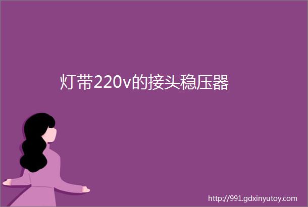 灯带220v的接头稳压器