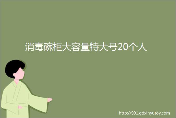 消毒碗柜大容量特大号20个人