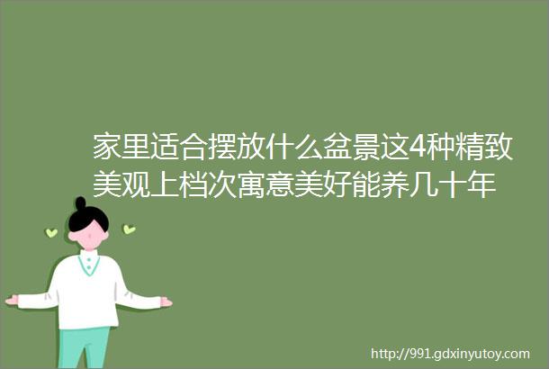 家里适合摆放什么盆景这4种精致美观上档次寓意美好能养几十年