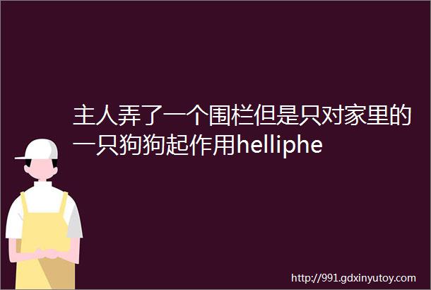 主人弄了一个围栏但是只对家里的一只狗狗起作用helliphellip