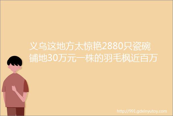 义乌这地方太惊艳2880只瓷碗铺地30万元一株的羽毛枫近百万元一棵的黑松helliphellip