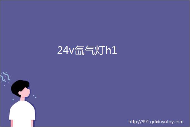 24v氙气灯h1