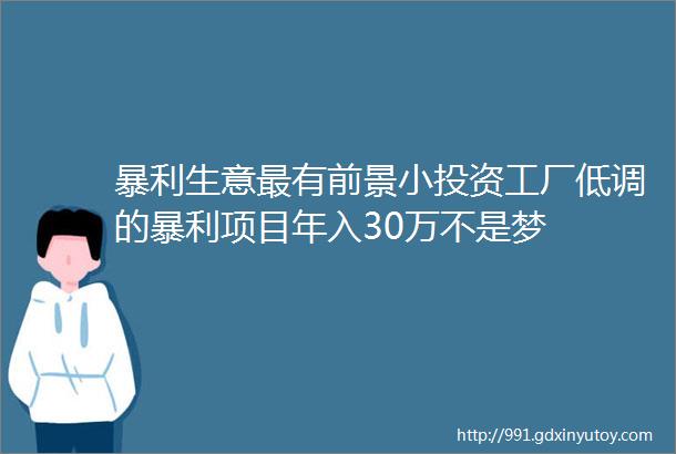 暴利生意最有前景小投资工厂低调的暴利项目年入30万不是梦