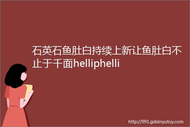 石英石鱼肚白持续上新让鱼肚白不止于千面helliphellip