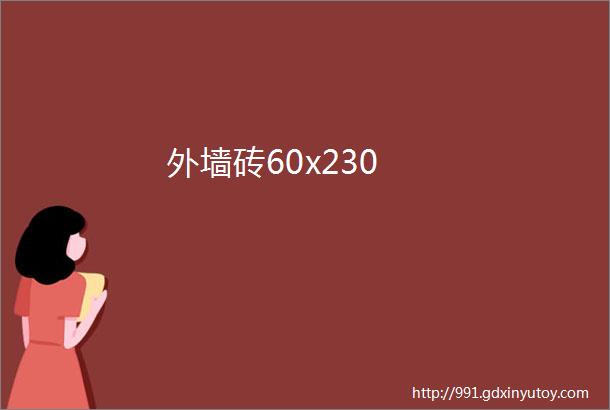 外墙砖60x230