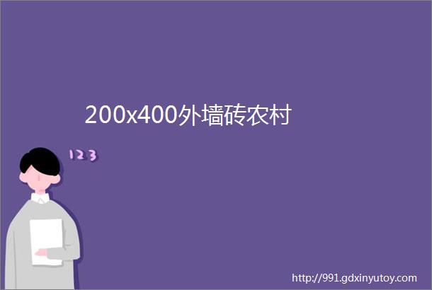 200x400外墙砖农村