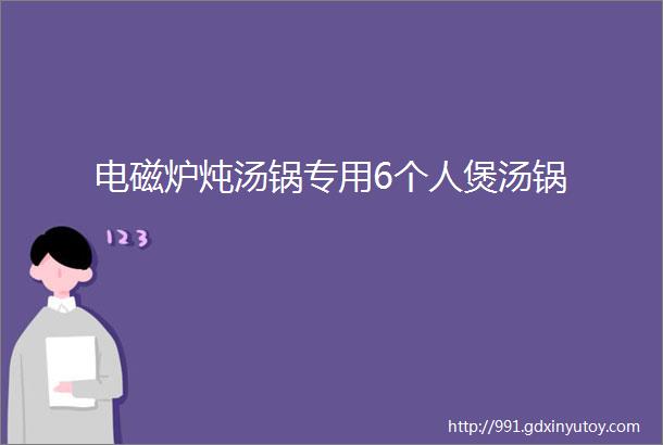 电磁炉炖汤锅专用6个人煲汤锅