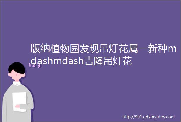 版纳植物园发现吊灯花属一新种mdashmdash吉隆吊灯花