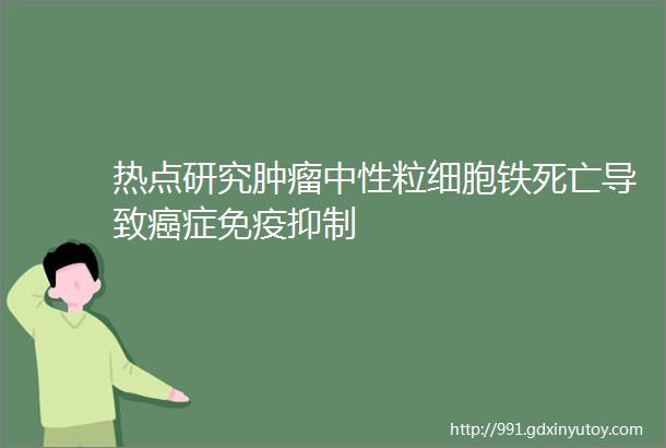 热点研究肿瘤中性粒细胞铁死亡导致癌症免疫抑制