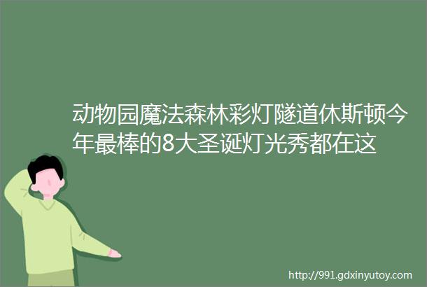 动物园魔法森林彩灯隧道休斯顿今年最棒的8大圣诞灯光秀都在这