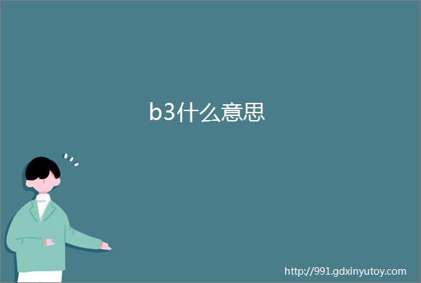 b3什么意思